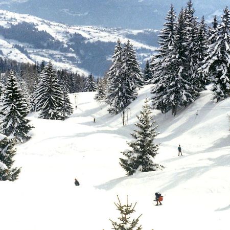 Woodland Village Anzere Ayent Exterior photo